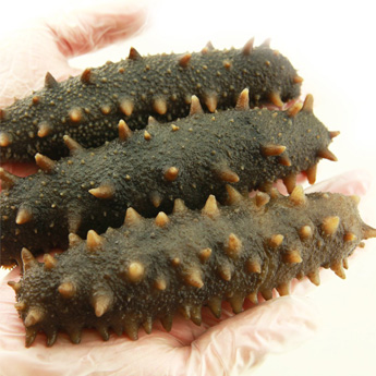 ��������204/��