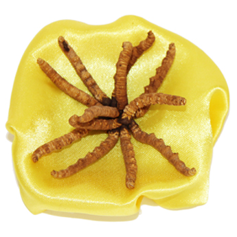 ���������Ĳ�0.01g