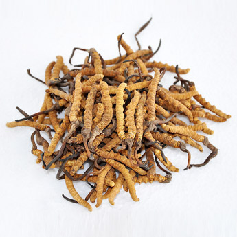 �����Ĳ�5g/��