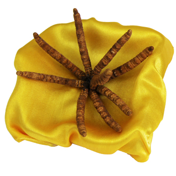 ���������Ĳ�0.01g