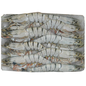 ̩����Ϻ����13-15ͷ/900g��װ