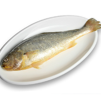 ����㣤39/500g400g-600g/��1��/��