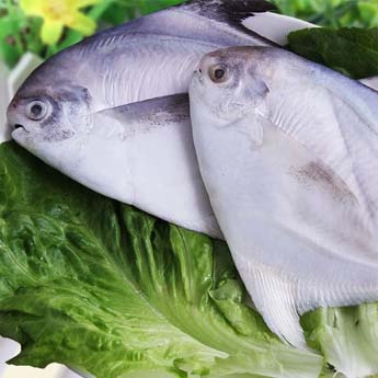 �����㣤108/500g��0.22/g