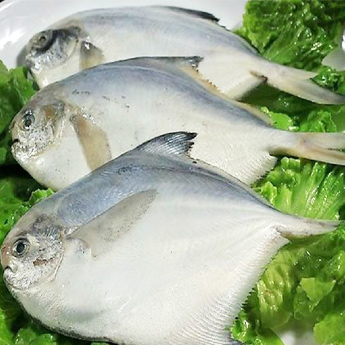 ĺʳƷС㣤29/500g100g-150g/3/