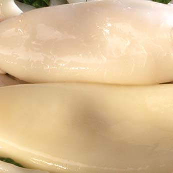 Ŀ⣤76/500g0.15/g