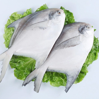 �������㣤86/500g400g-500g/��1��/��