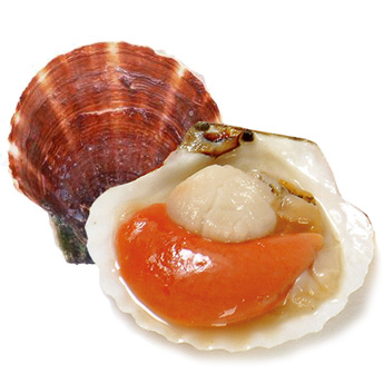 ȱʻ3-8/500g32/500g0.064/g