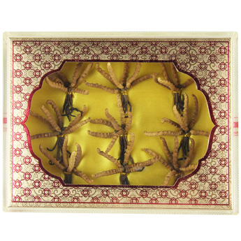 �����Ĳ�������24g���