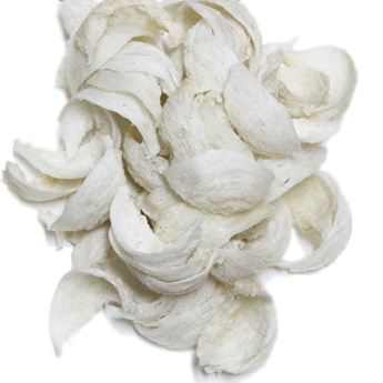 ����һ��ɢװ/��