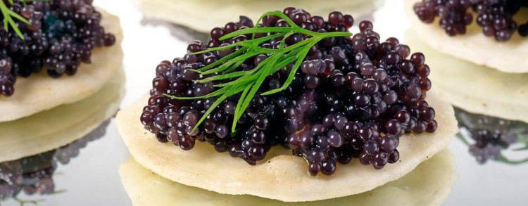 �����ӽ�100g/��