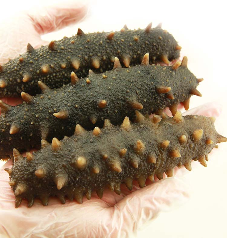 ��������204/��