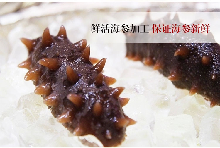 ��������204/��