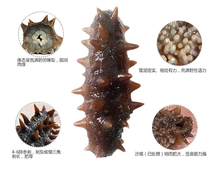 ��������204/��