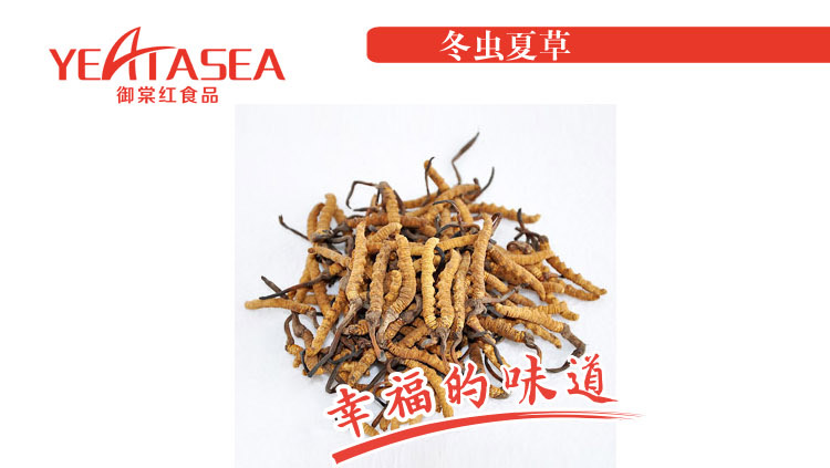 �����Ĳ�5g/��