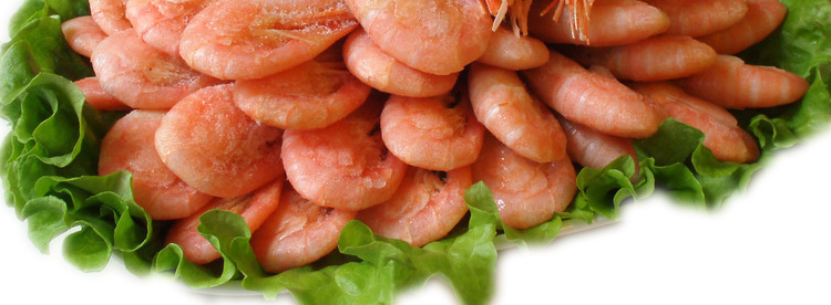 ������Ϻ10ֻԼ200g