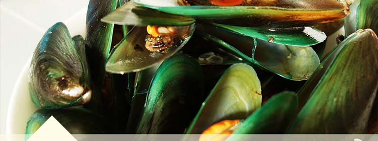 ��������ڱ�����800g/��