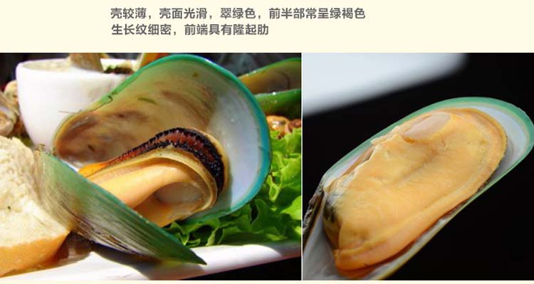 ��������ڱ�����800g/��