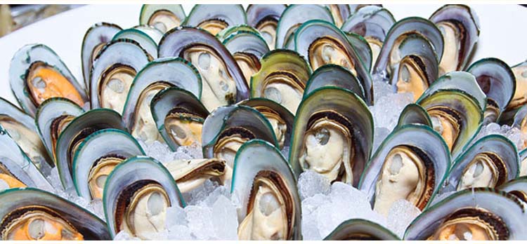 ��������ڱ�����800g/��