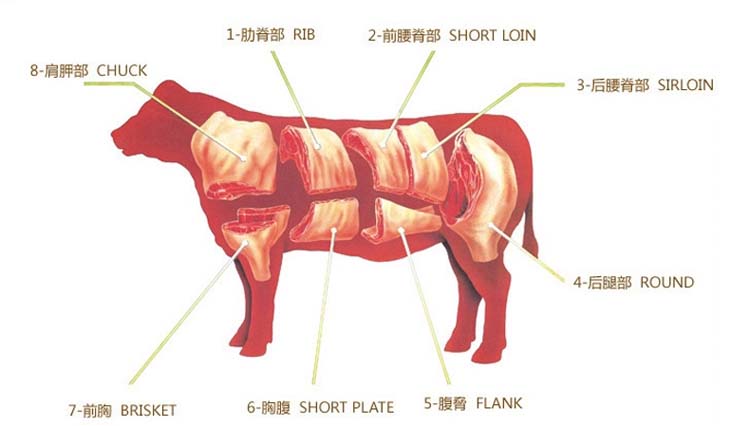 ��ţ��180g/�У�32/��