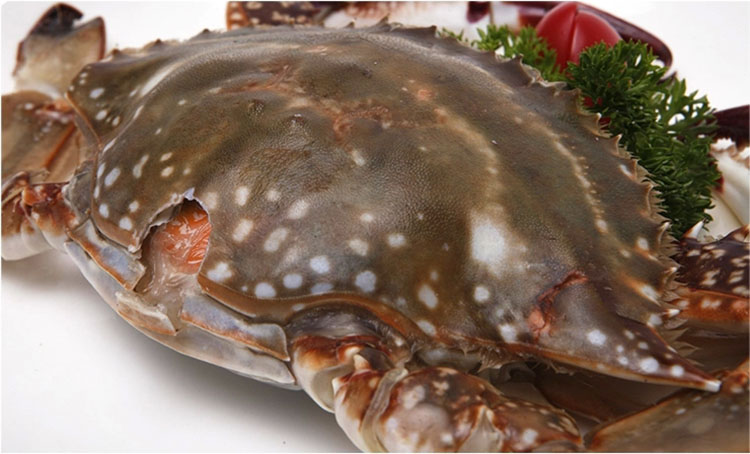 ���Ĵ��з��23/��350g-400g/��