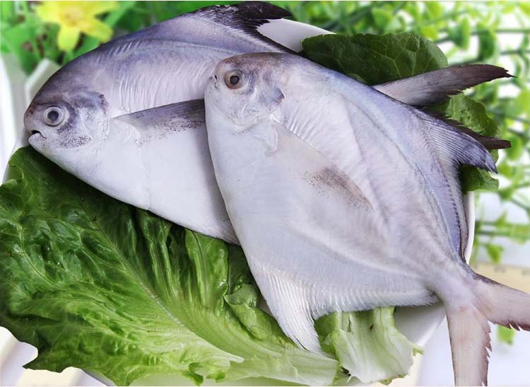 �����㣤108/500g��0.22/g