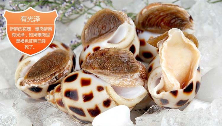 白灼花螺¥103/份500g/份
