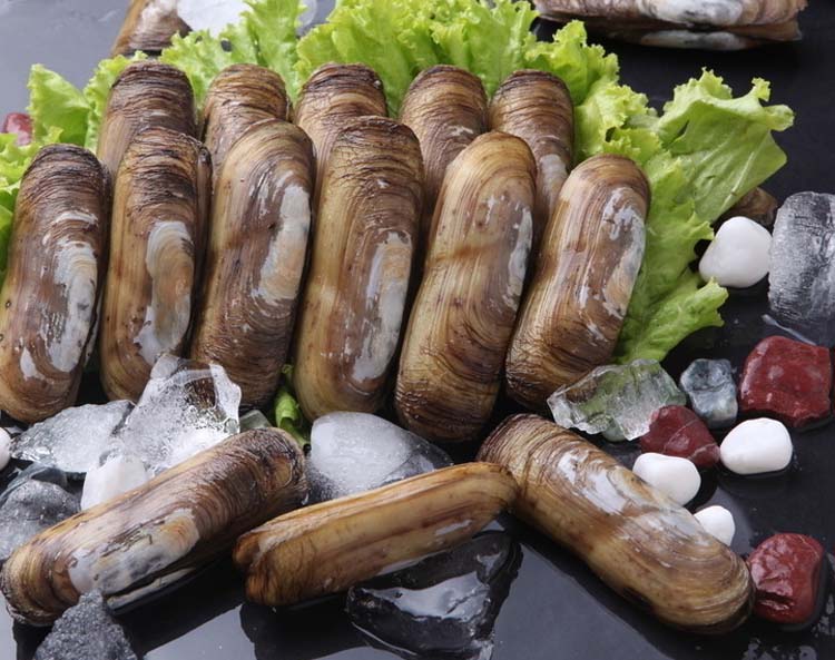 姜葱蛏子¥35/份500g/份