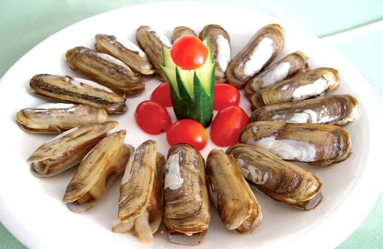 姜葱蛏子¥35/份500g/份