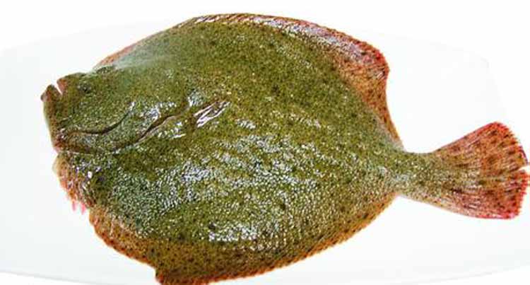 �౦�����400g-750g/����48/500g��0.10/g