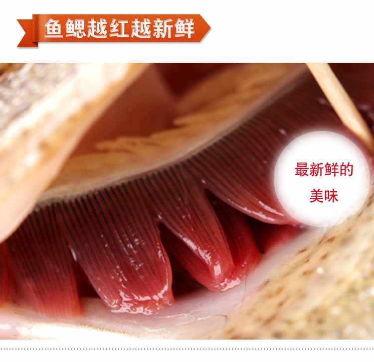 �౦�����400g-750g/����48/500g��0.10/g