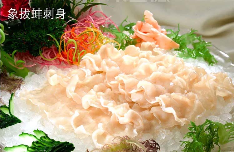 加拿大象拔蚌活鲜500g-1500g/只¥378/500g¥0.76/g