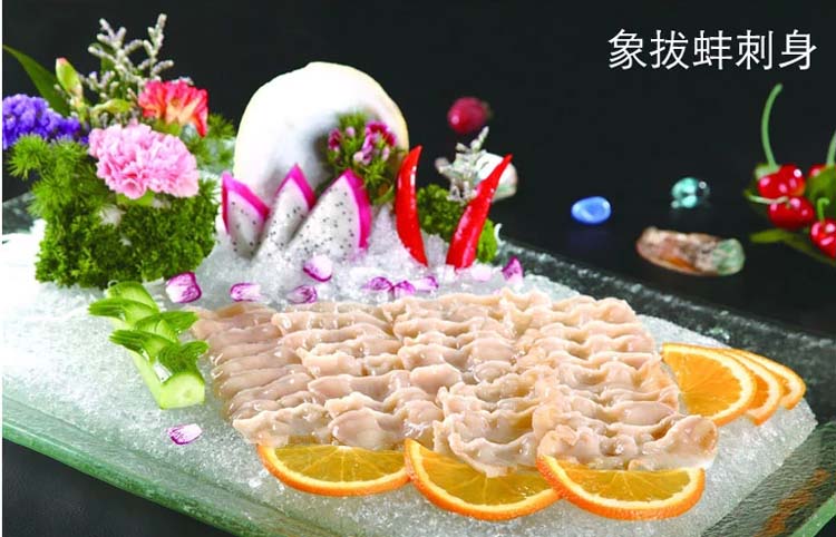 加拿大象拔蚌活鲜500g-1500g/只¥378/500g¥0.76/g