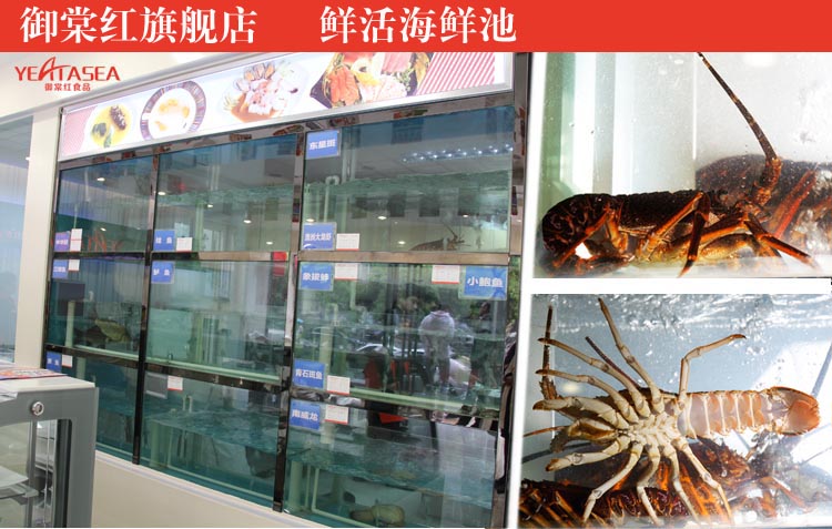 澳洲大龙虾活鲜¥588/500g¥1.18/g时价