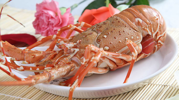 澳洲大龙虾活鲜¥588/500g¥1.18/g时价