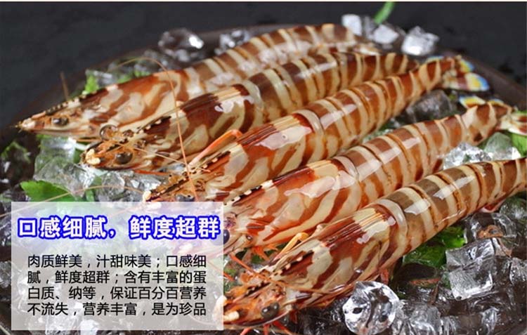 斑节虾活鲜3060只$258500g$052g