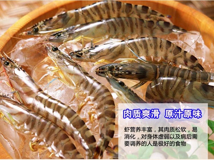 �߽�Ϻ����30-60ֻ��258/500g��0.52/g