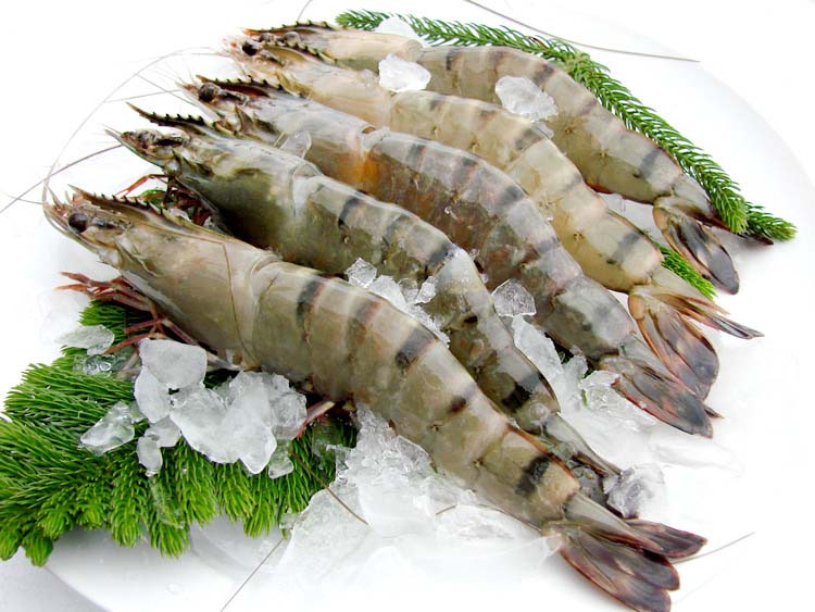 ��Ϻ����40-60ֻ��88/500g��0.22/g