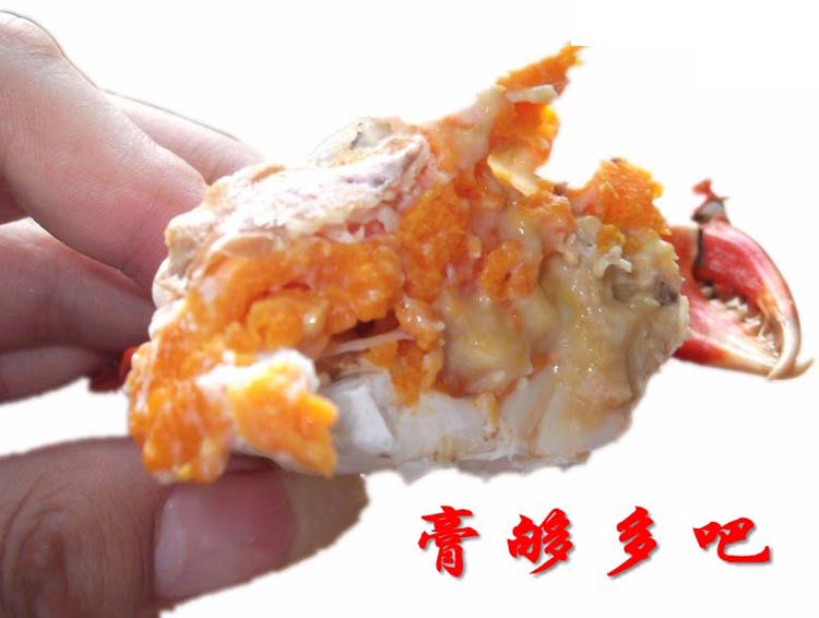 ���з����200g-500g/ֻ��108/500g��0.22/g