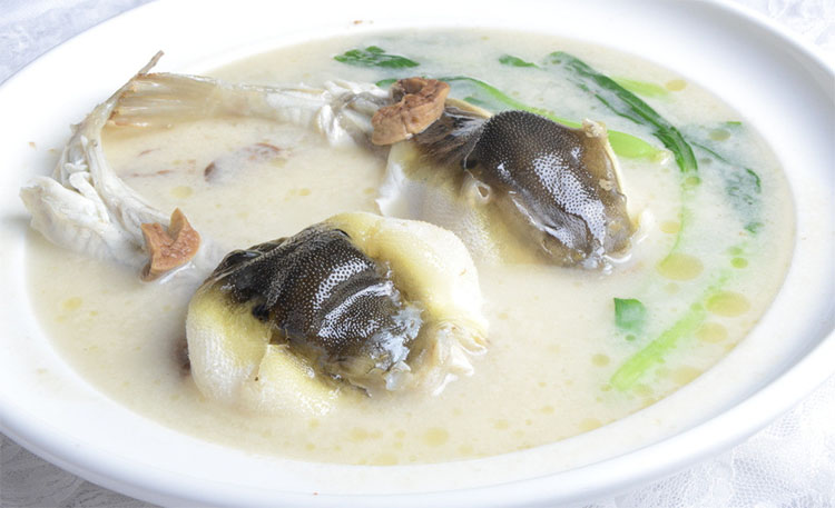 大巴鱼活鲜300g-600g/条¥49/500g¥0.10/g