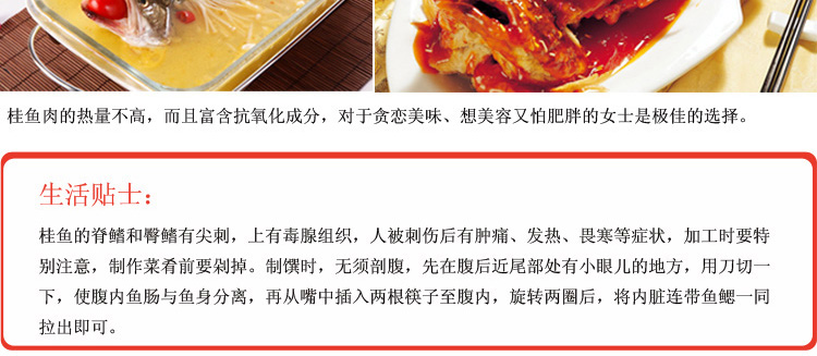 桂鱼活鲜400g-750g/条¥48/500g¥0.10/g