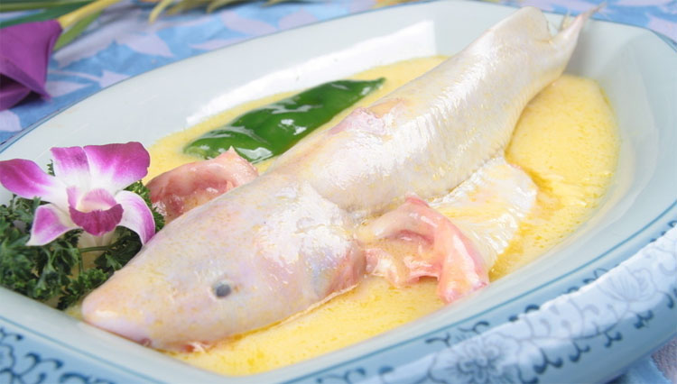 鮰鱼活鲜750g-1500g/条¥23/500g0.05/g