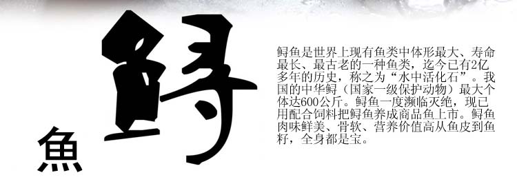 鲟鱼活鲜750g-4000g/条¥28/500g¥0.06/g