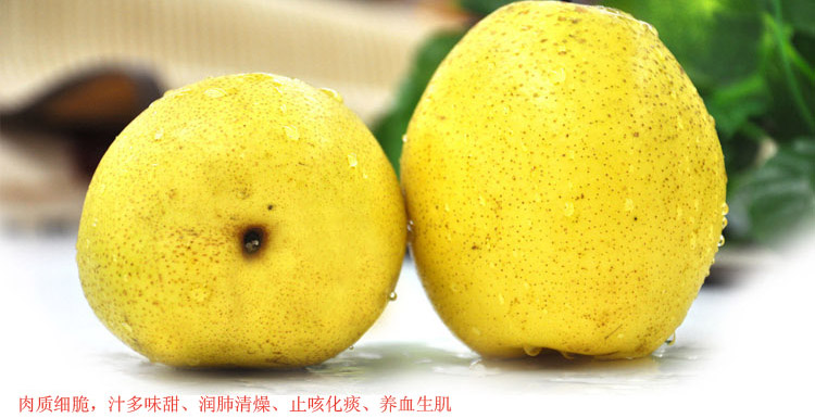 ѩ������