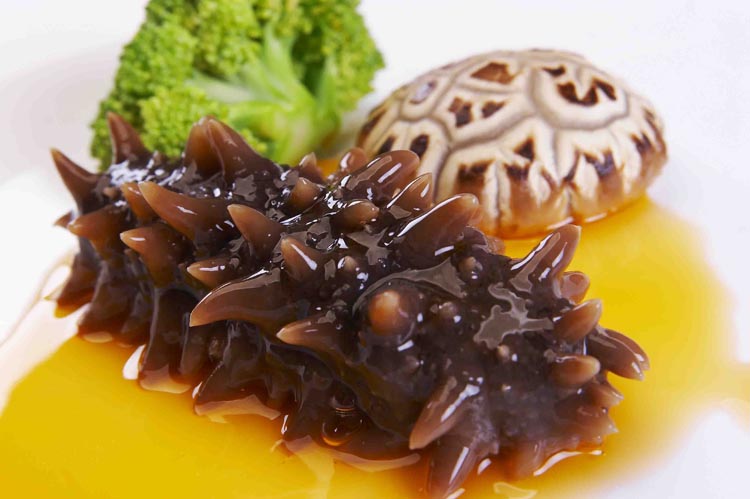 御棠红食品御棠红食品——海参、一年四季的进补佳品